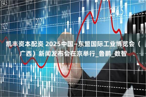 凯丰资本配资 2025中国—东盟国际工业博览会（广西）新闻发布会在京举行_鲁鹏_数智